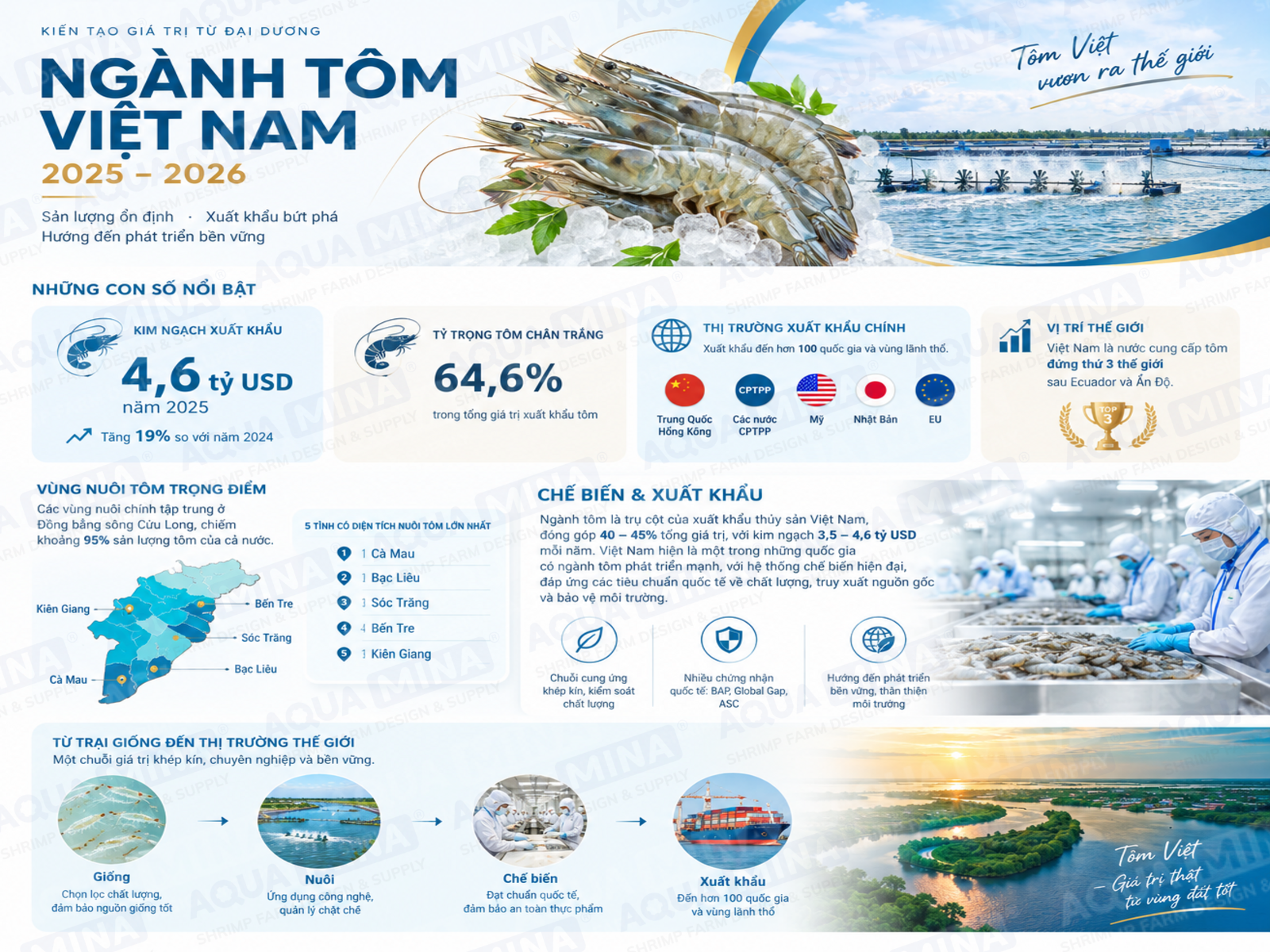 Tổng quan ngành tôm Việt Nam 2026